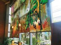 Rèm Cuốn Tranh 3D – Giải Pháp Trang Trí Không Gian Đẹp, Sang Và Đẳng Cấp