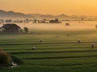 Ý Nghĩa Khi Treo Tranh Đồng Quê Trong Nhà