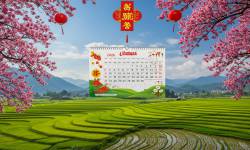 In Lịch Lò Xo 7 Tờ Tết 2026 Tại Tường Vip – Mẫu Đẹp, In Nhanh, Giá Tốt Cho Doanh Nghiệp