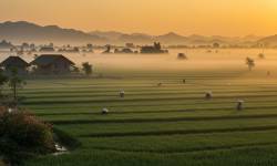 Ý Nghĩa Khi Treo Tranh Đồng Quê Trong Nhà