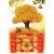 Lịch Gỗ Treo Tường Laminate Tráng Gương 2026 (40x60 cm) - Cây Tài Lộc (TV43)